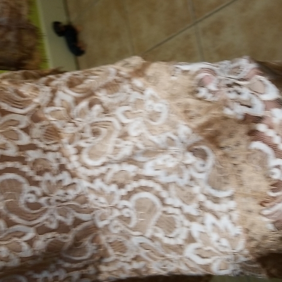 Champagne color lace dress back zipper Sz ( S ) - Picture 3 of 7